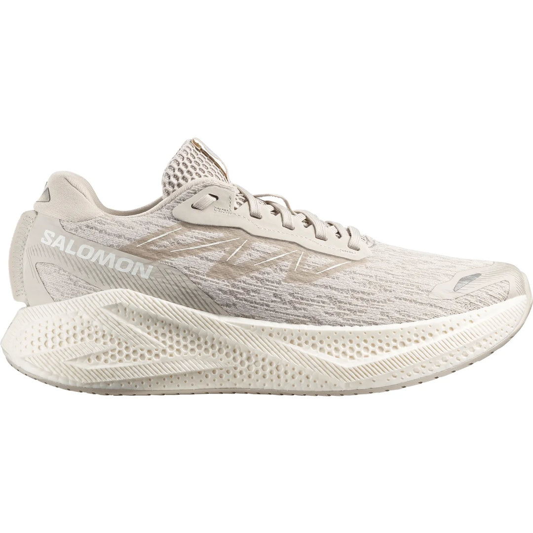 Men's Salomon Aero Glide 4