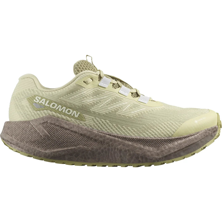 Women's Salomon Aero Blaze 3 GRVL GTX