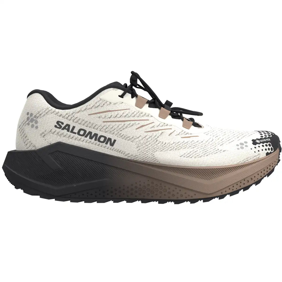 Men's Salomon Aero Blaze 4 GRVL GTX