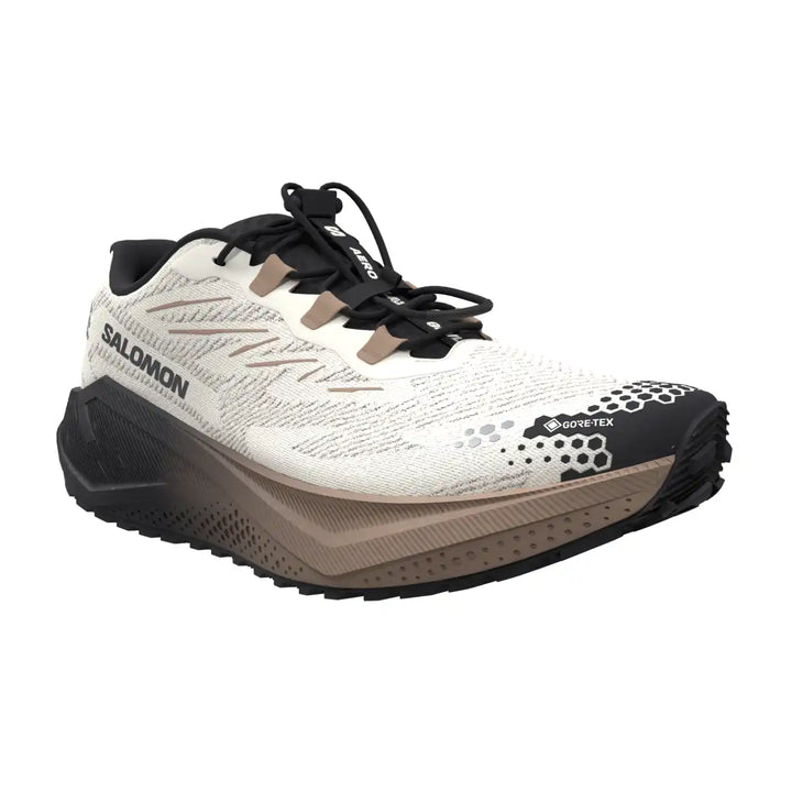 Men's Salomon Aero Blaze 4 GRVL GTX