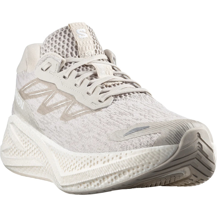 Men's Salomon Aero Glide 4